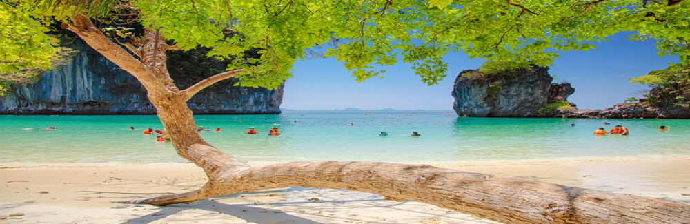 Amazing Andaman